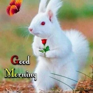 Meet your Posher, Periyasamy